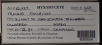 Image Associated With the Occurence